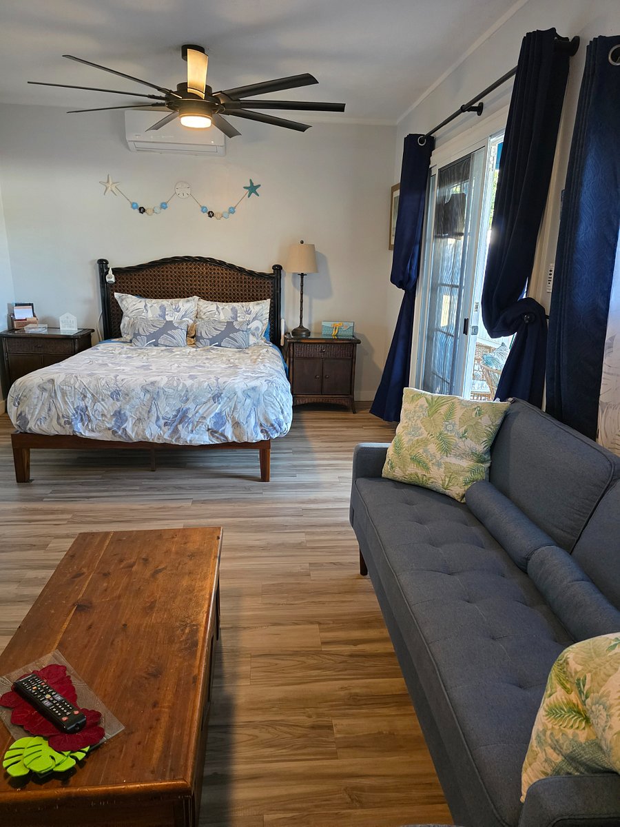 Furnished Finder property 705650_1 photo 16