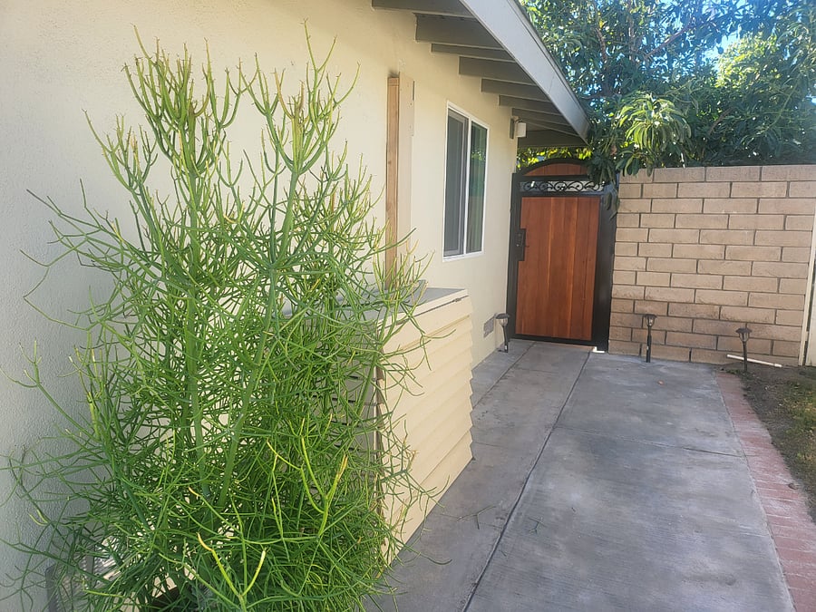 Furnished Finder property 705668_1 photo 8
