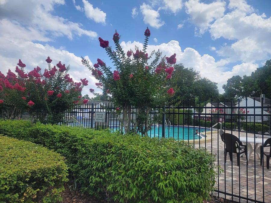 Furnished Finder property 705675_1 photo 9