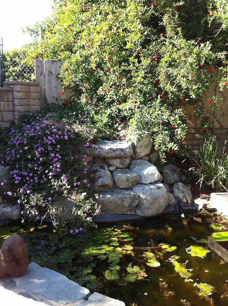 pond and waterfall