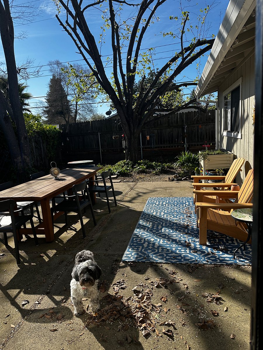 Backyard patio