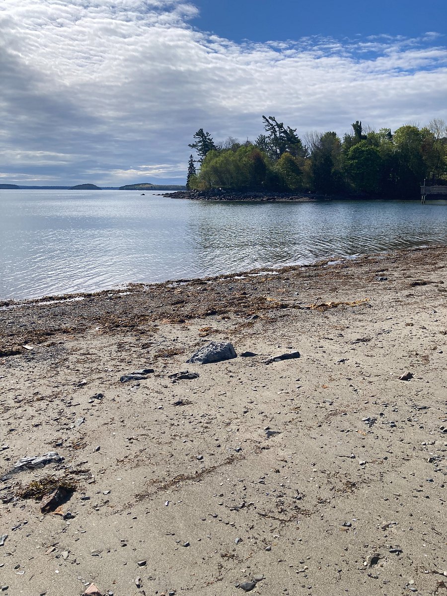 Hulls Cove - Just a short walk from house