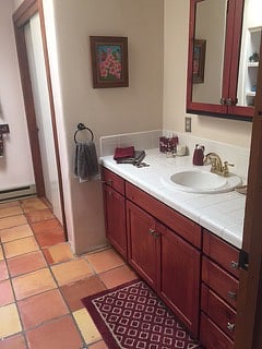 guest bathroom first floor