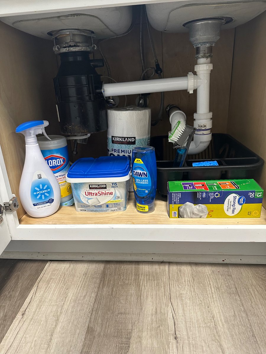Cleaning supplies (under kitchen sink).