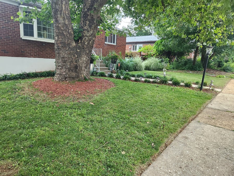 Furnished Finder property 705984_1 photo 21