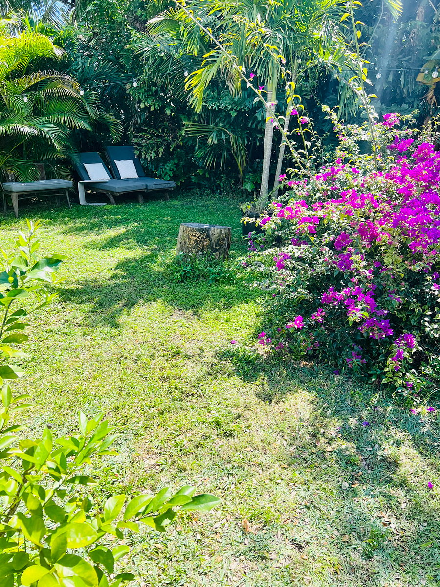 Lounge chairs in garden
