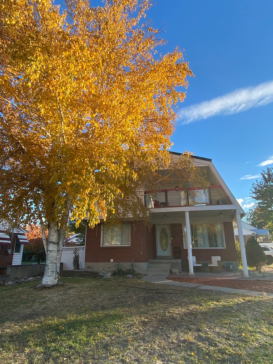 Furnished Finder property 706307_1 photo 13