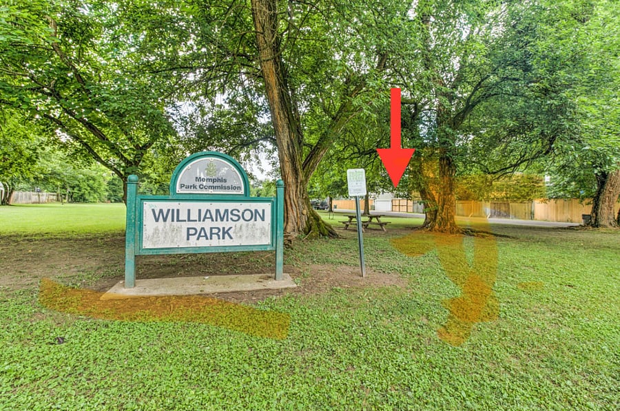 The arrow indicates the private gated entrance to this property / unit, so that you can see the close proximity to beautiful Williamson Park.