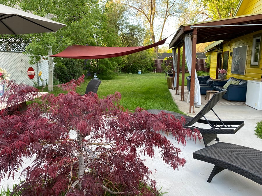 Furnished Finder property 706335_1 photo 26