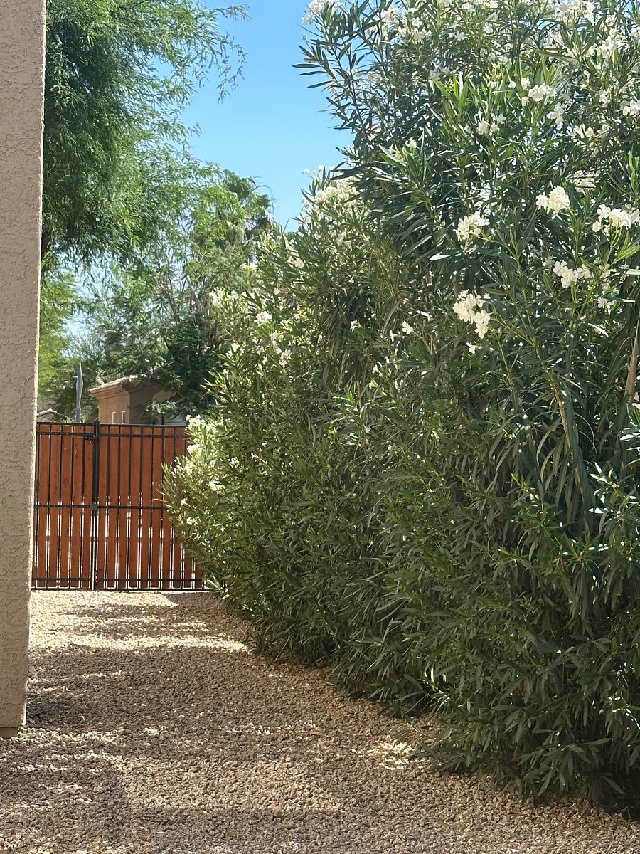Furnished Finder property 706350_1 photo 24