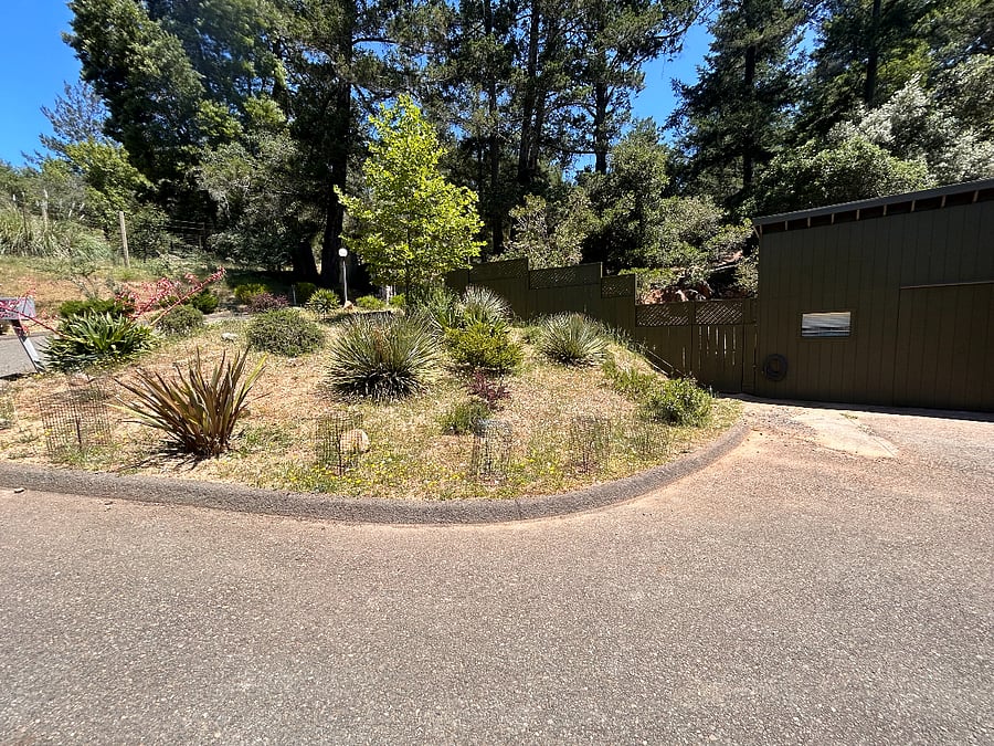Furnished Finder property 706400_1 photo 15