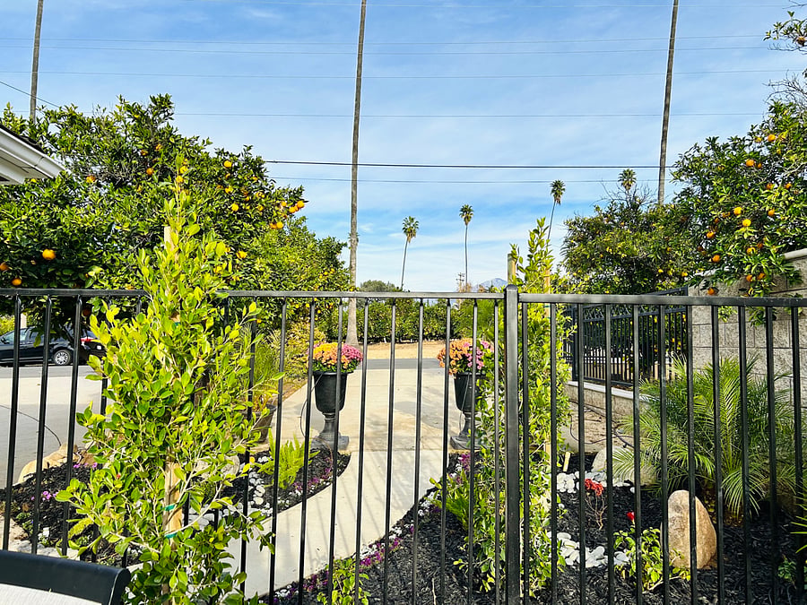 Furnished Finder property 706415_1 photo 18