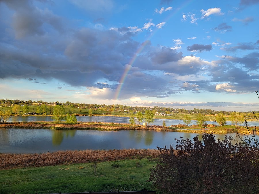 Backyard view