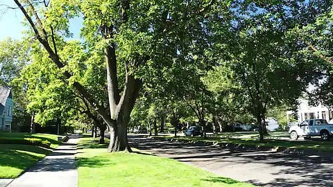View of Harrison Blvd.