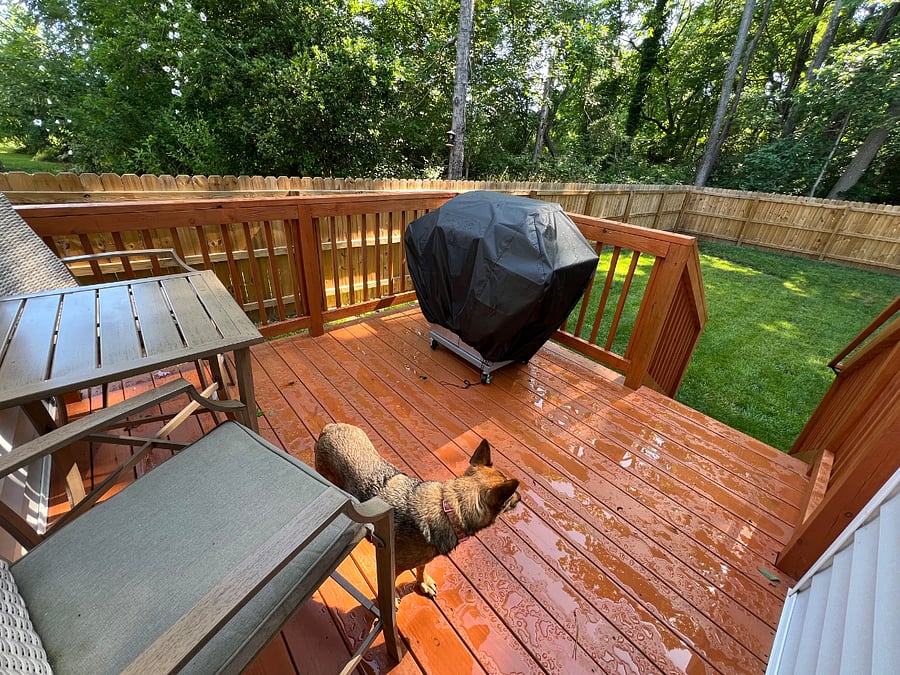 Furnished Finder property 706697_1 photo 10