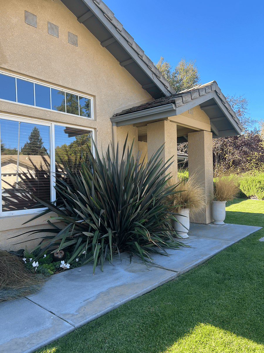 Furnished Finder property 706813_1 photo 34