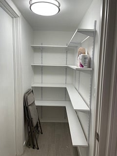 Large walk-in kitchen pantry