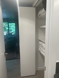 Large linen closet by bathroom
