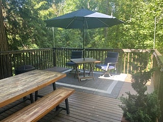 Forest view with picnic table, umbrella table and comfortable chairs