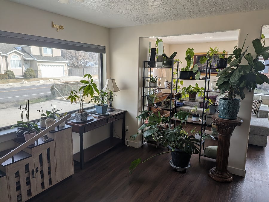 Furnished Finder property 706975_1 photo 7