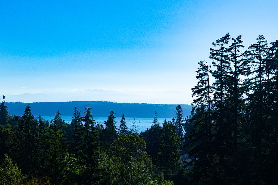 View from deck