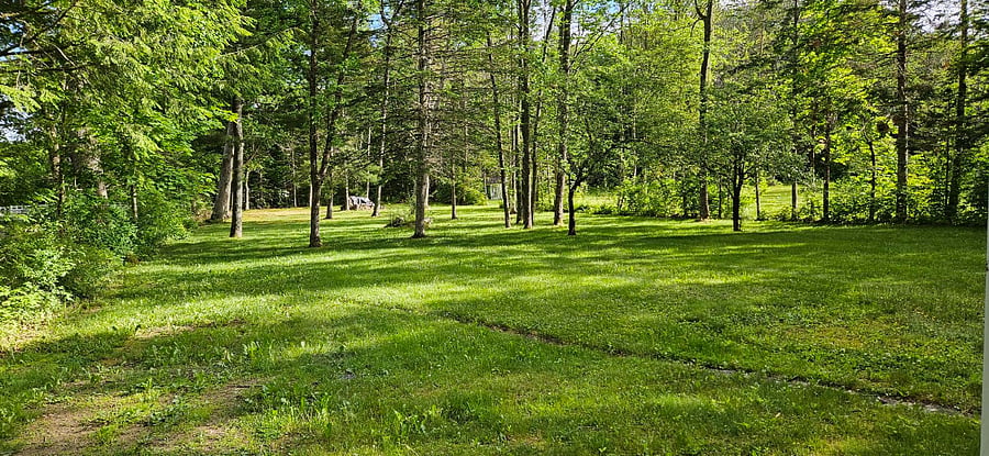 Furnished Finder property 707287_1 photo 3