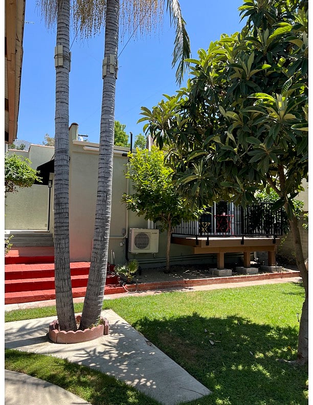 Back yard