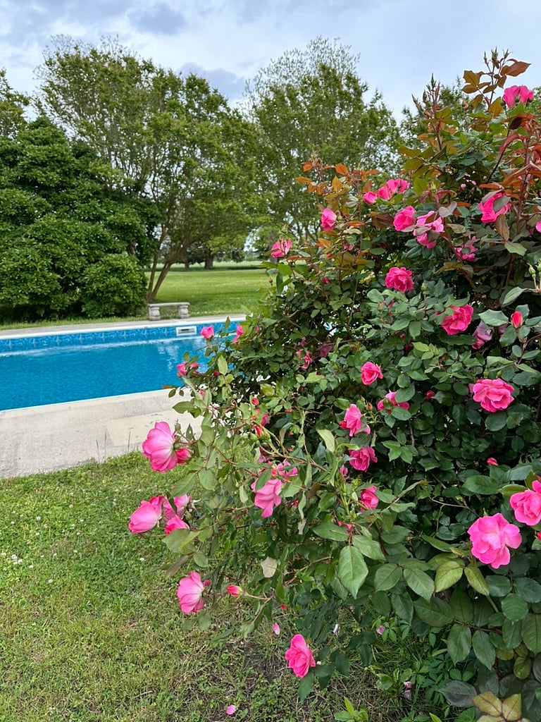 Furnished Finder property 707825_2 photo 14