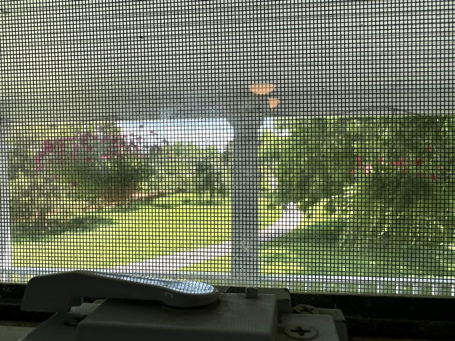 Furnished Finder property 707825_2 photo 9