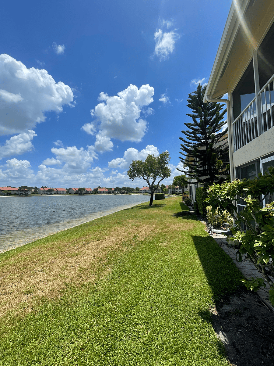 View from backdoor, overlooking the lake