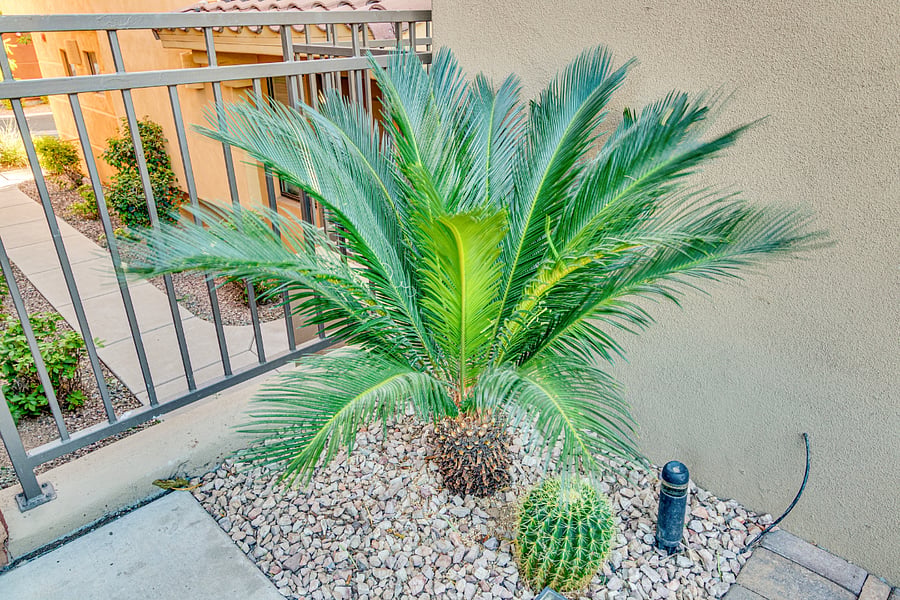 Furnished Finder property 707885_1 photo 20