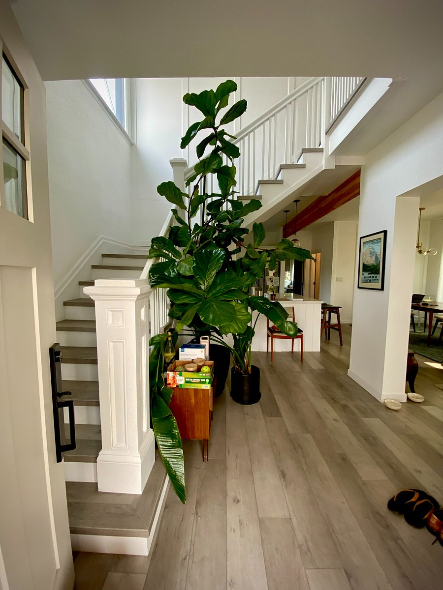 Furnished Finder property 707898_1 photo 12