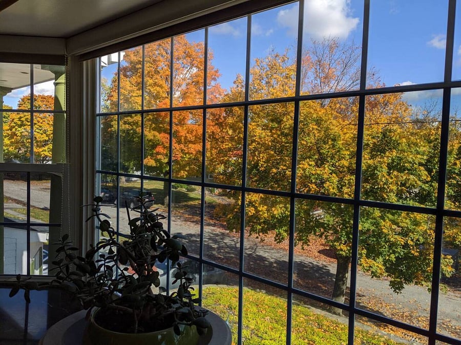 [Living area] Beautiful fall view from front bay window