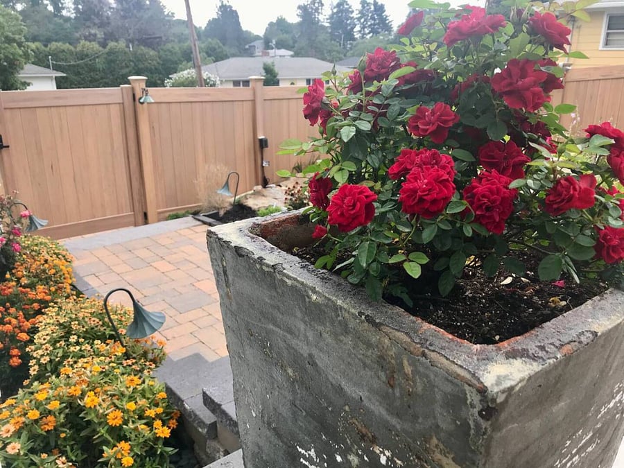[Backyard] View of side yard entrance. Gate has combination lock for security