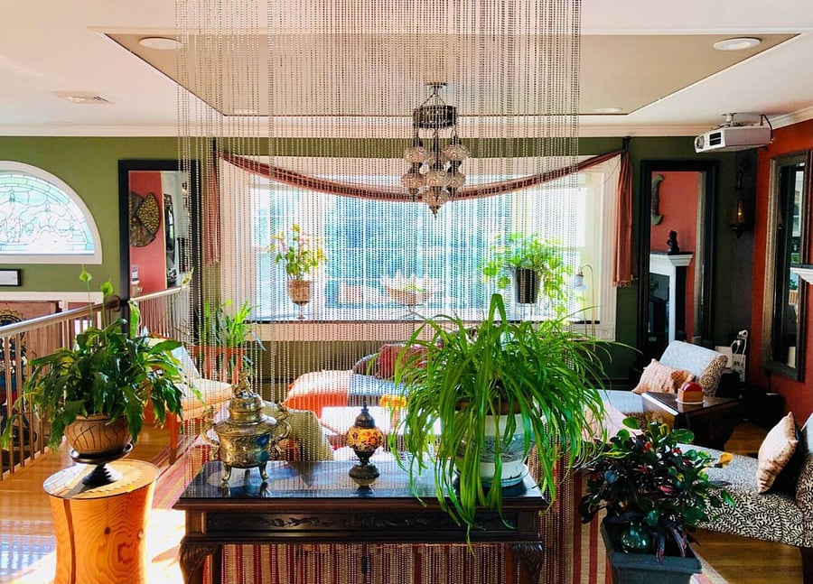 [Living area] Enjoy the light, the plants and eclectic decor of the open living area.
