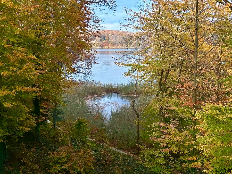 Gorgeous fall view of community beach on the Svern
