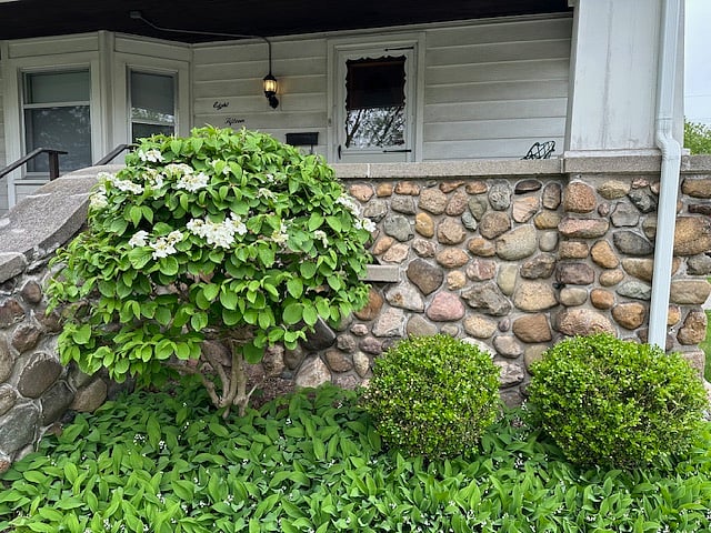 Furnished Finder property 708308_1 photo 5