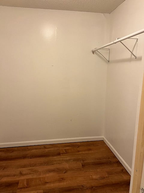 First master bedroom suite's walk-in closet