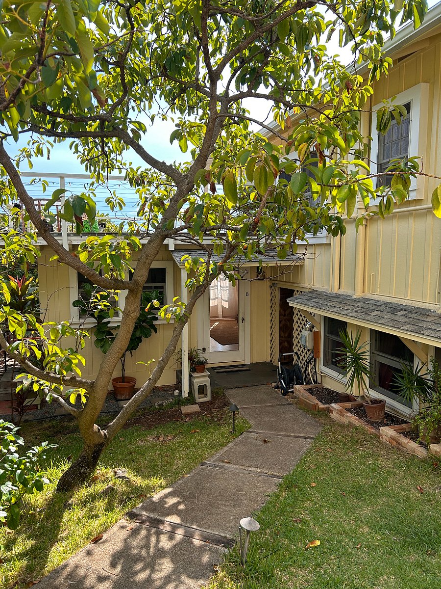 Furnished Finder property 708362_1 photo 10