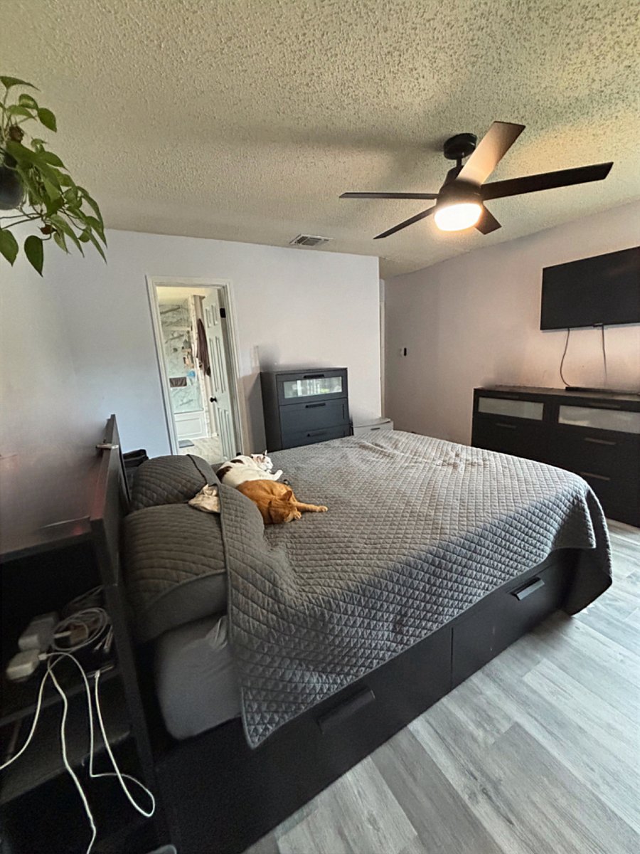 Furnished Finder property 708605_1 photo 34