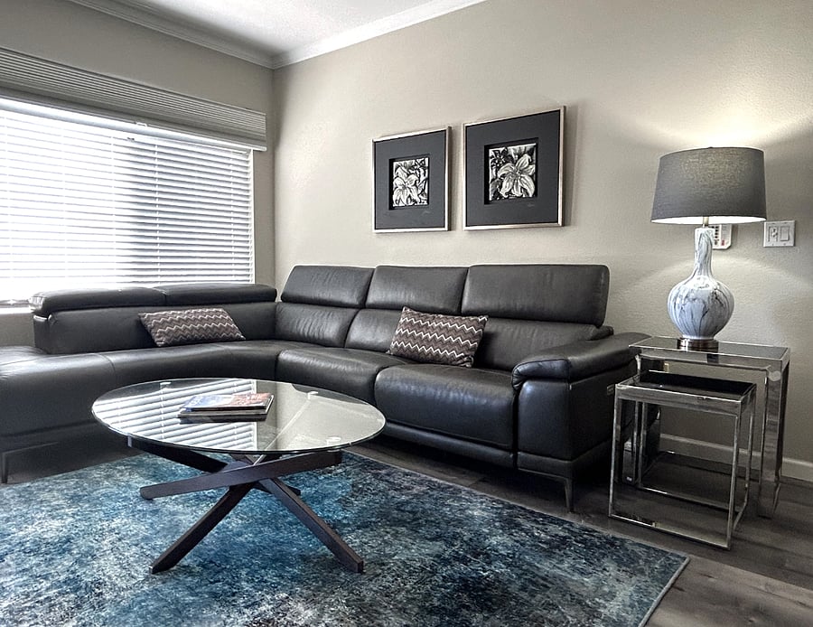 Living room couch