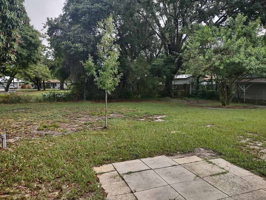 Furnished Finder property 708859_1 photo 17