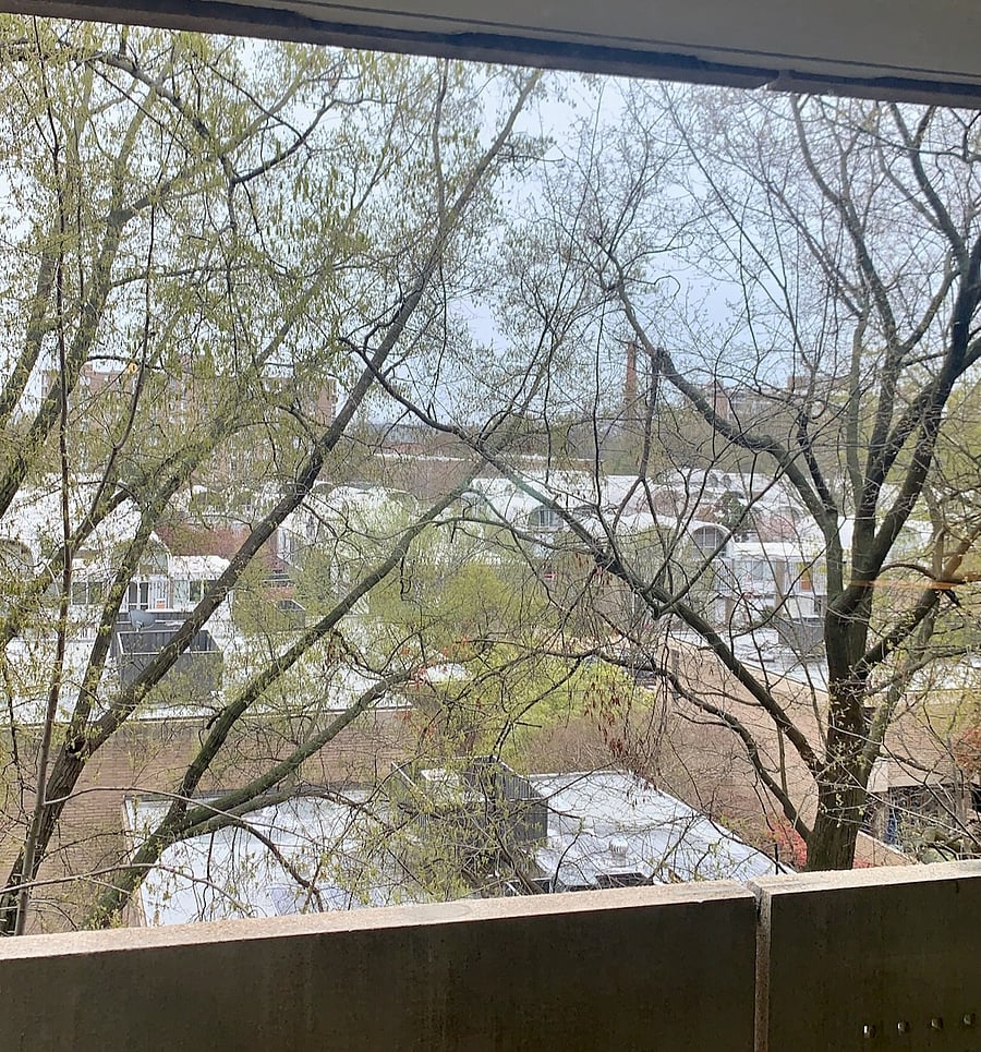 Early Spring View - Balcony