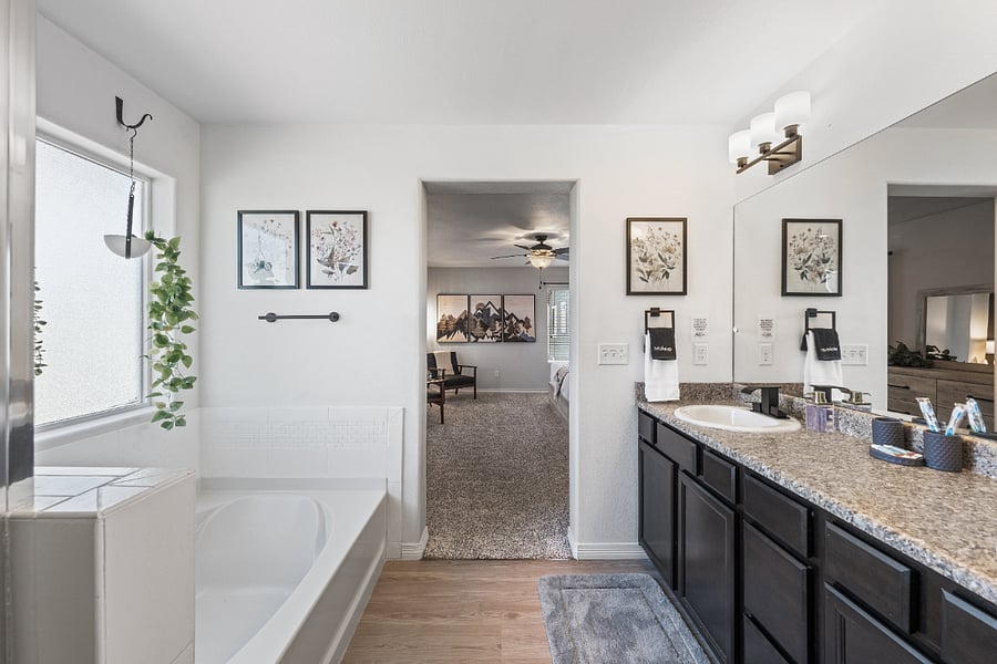 Your en suite master bathroom!
