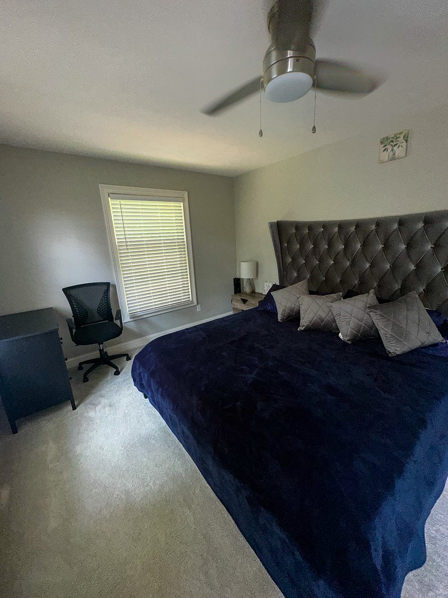 Furnished Finder property 709360_1 photo 4