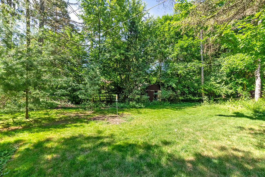 Yard in Back