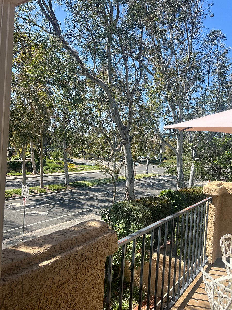 Furnished Finder property 709556_1 photo 18
