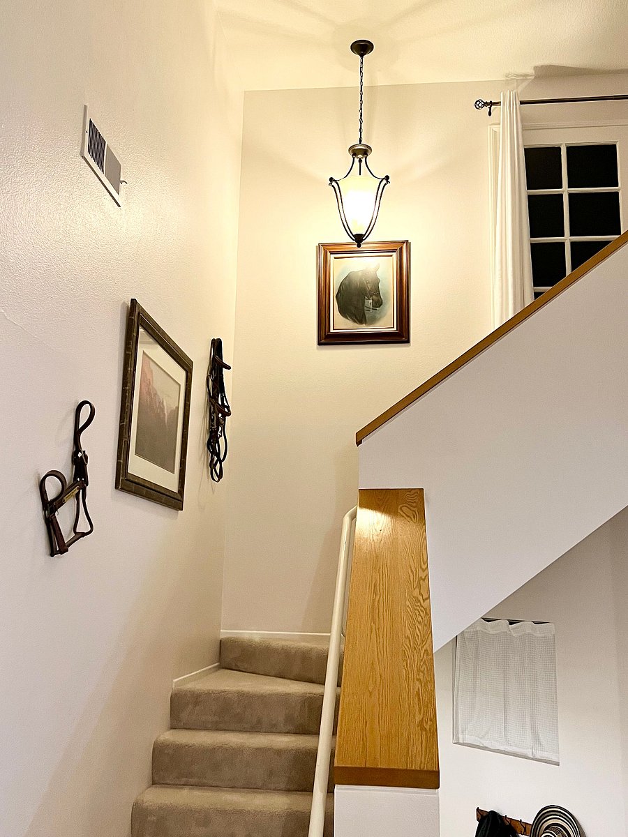 Furnished Finder property 709556_1 photo 21