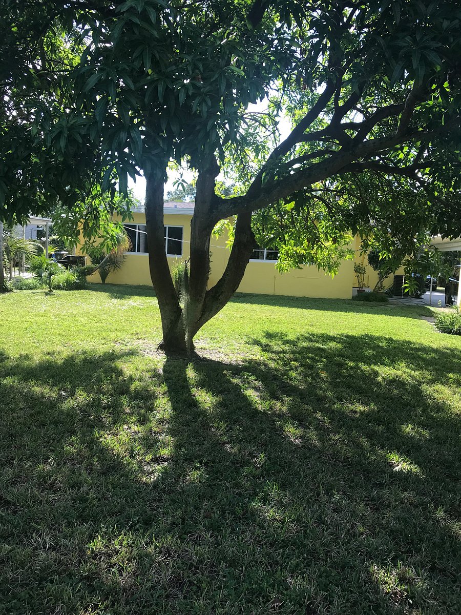 Furnished Finder property 709602_1 photo 3