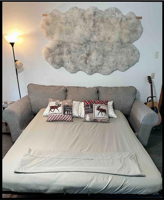 sofa bed/queen side